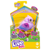 Little Live Pets Lil Bird S11 Flutter Tal