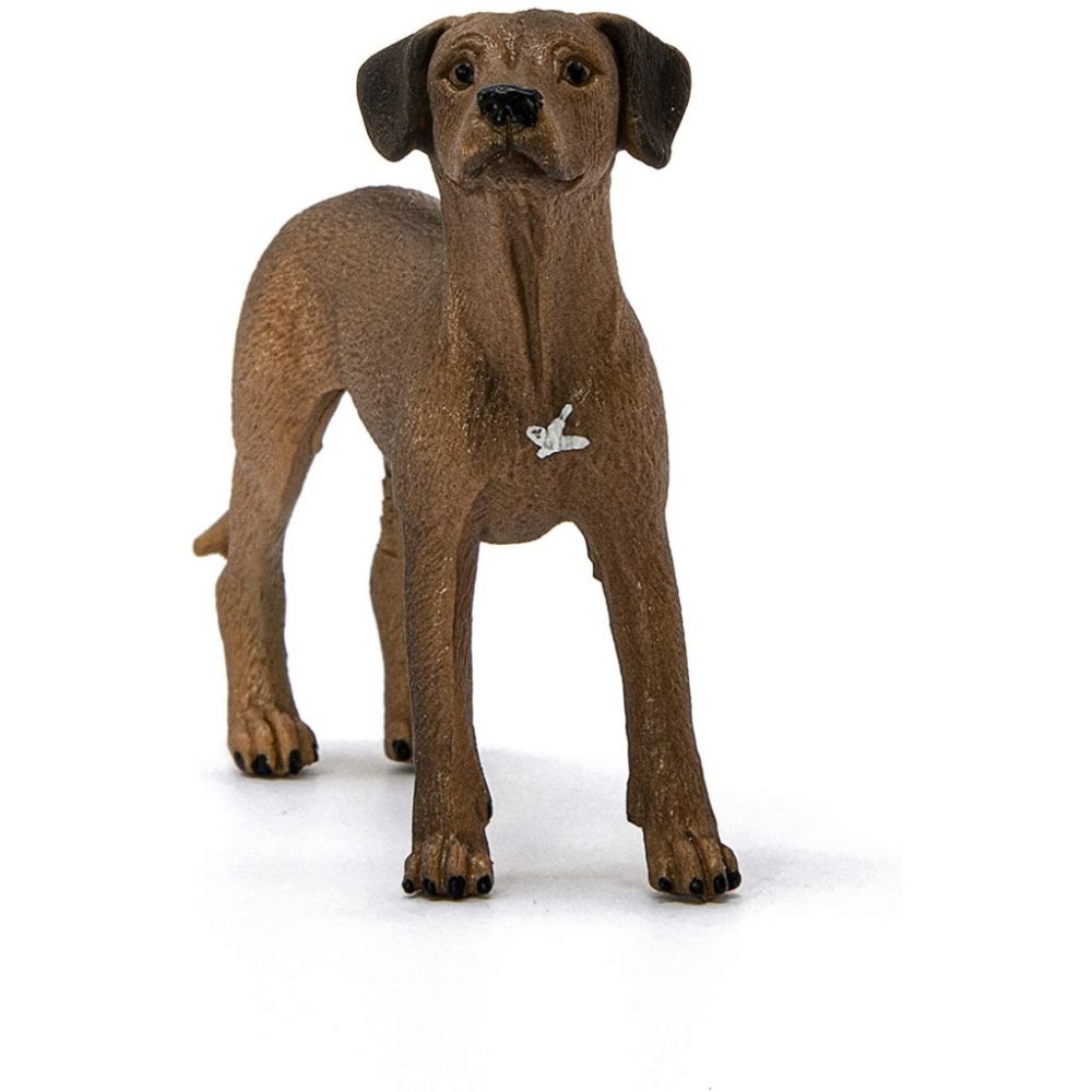 Schleich Rhodesian Ridgeback