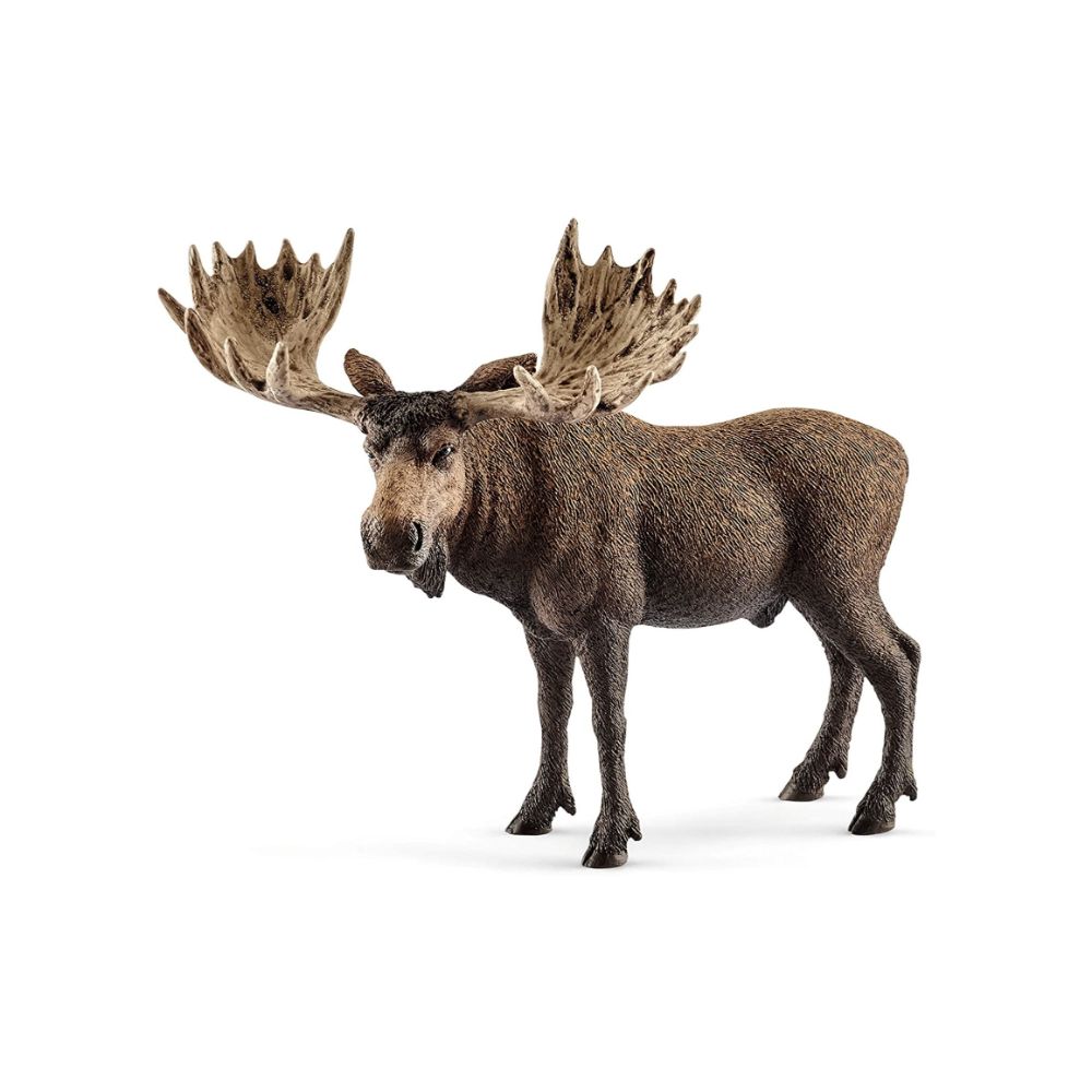 Schleich - Moose bull