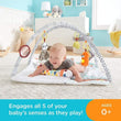 Fisher Price Perfect Sense Deluxe Gym  Image#1